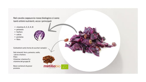 Cappuccio rosso con Uvetta Bio - 200 g